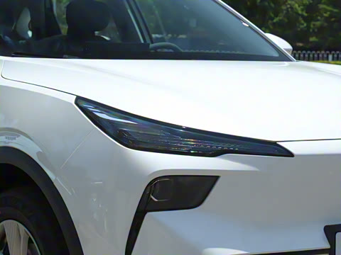 2025�� 445km ��ѡ��