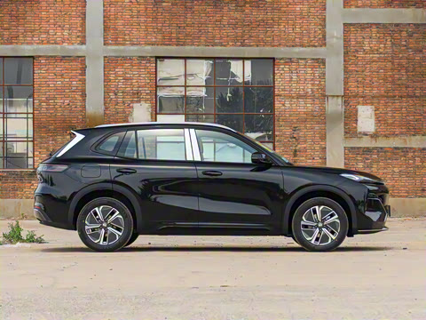 2025�� 55km ̽����