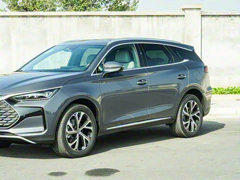 2025�� DM-i 115KM ������