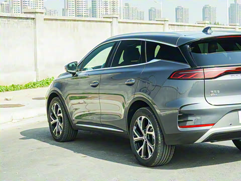 2025�� DM-i 115KM ������