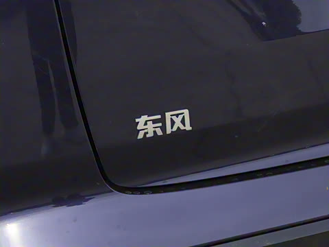 2025�� 210Max���Ȱ� 6��