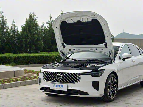 2026�� ���ʽ�춯 �������������ź�����