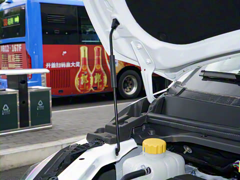 2025�� 2.0L CNG�߼�Ӫ�˰� 9��