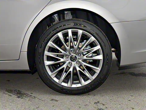 2024�� ˫�� 2.5L XLE����