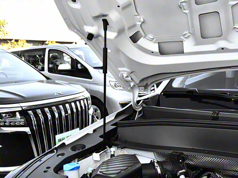 2024�� ���˰� 7��