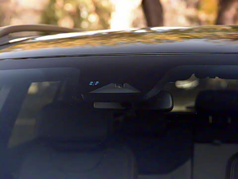 2025�� ������PLUS