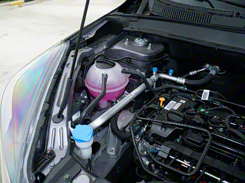 2025�� 1.5L �ֶ�׿Խ��