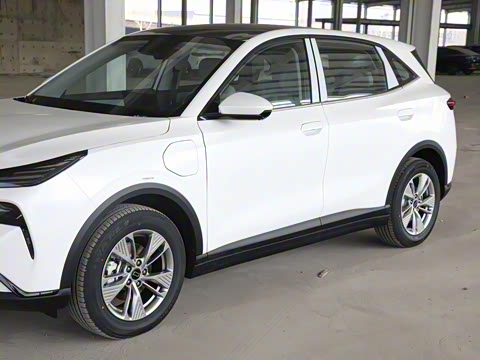 2025�� 445km ���ð�