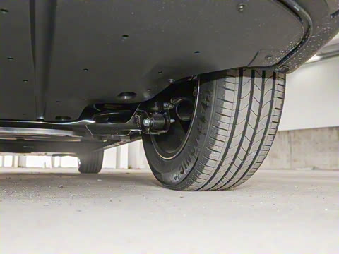 2025�� 445km ���ð�