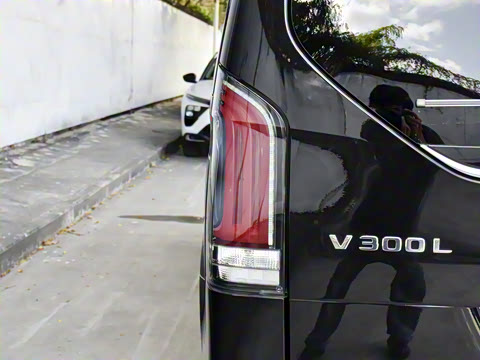 2025�� �������Ȱ�