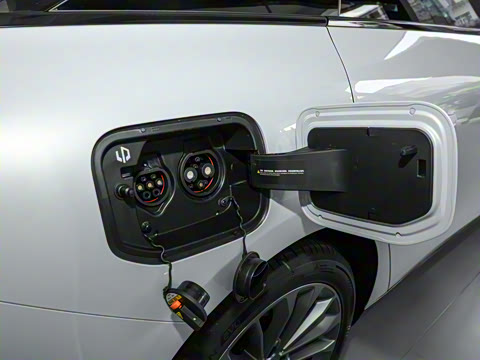 2024�� ���� 525������