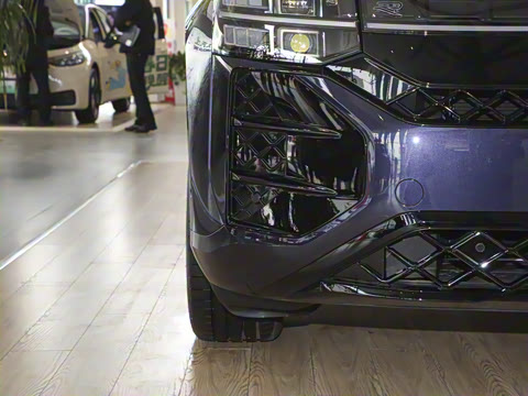 2025�� ;�� Pro 450TSI �����Ƿ��