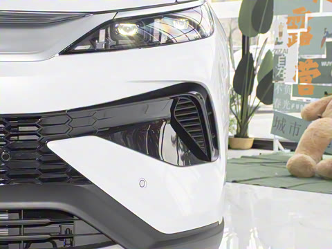 2025�� �ڶ��� �Ǽݰ� DM-i 75KM��Խ��