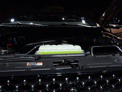 2025�� 3.5T ��ͳ��