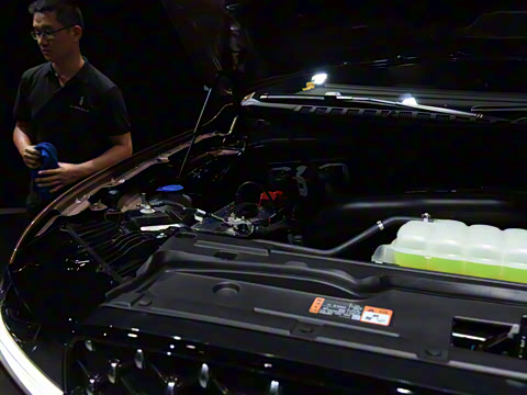 2025�� 3.5T ��ͳ��