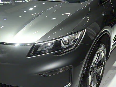 2025�� ��������