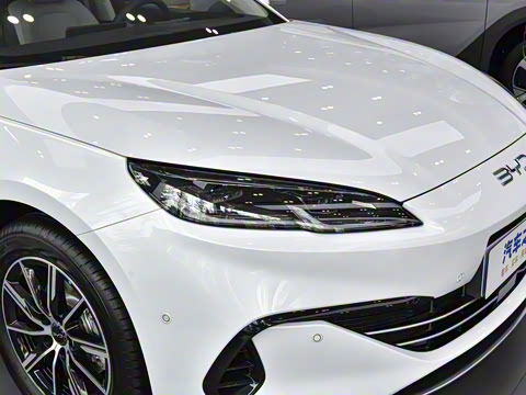 2025�� DM-i 80KM�����