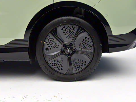 2024�� �����������