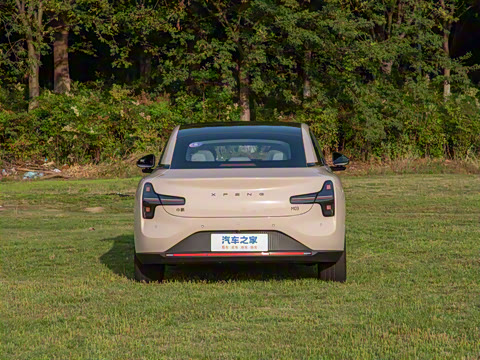 2025�� 502 ������ Max