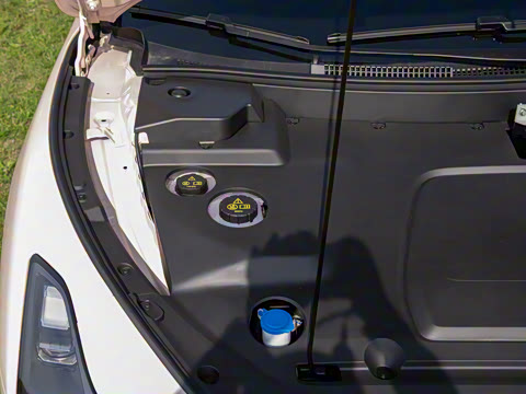 2025�� 502 ������ Max