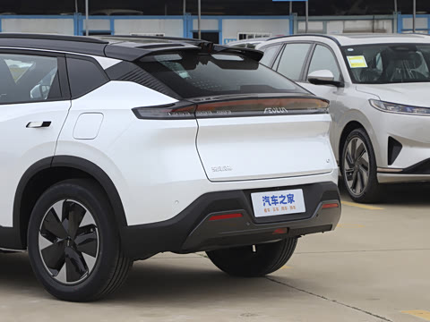 2025�� 205��������������