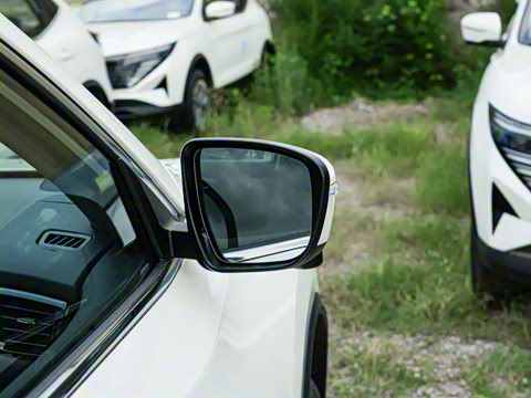 2025�� ���� 2.0L �������İ�