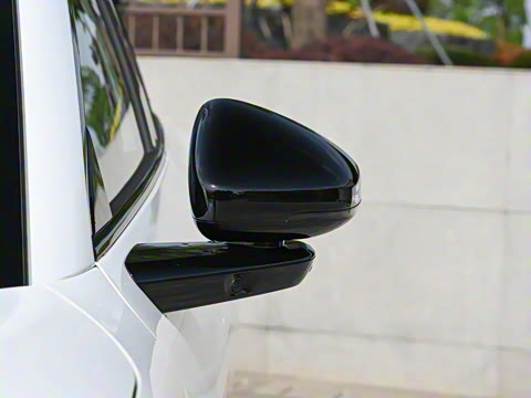 2025�� 502 ������ Max