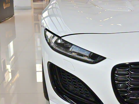 2024�� P300 75�����س����