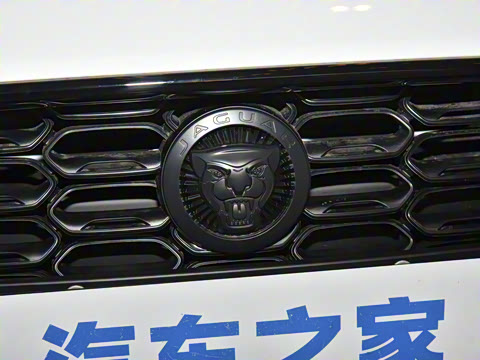 2024�� P300 75�����س����