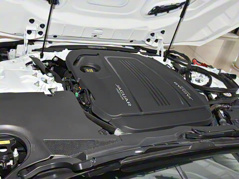 2024�� P300 75�����س����