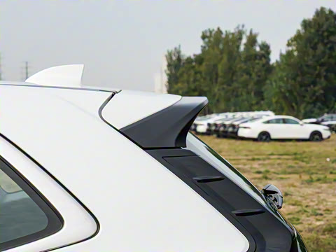 2025�� 240TURBO ������Ӣ�� 5��