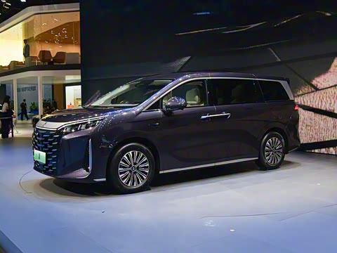 2025�� DM-i 1.5T 180km ׿Խ��