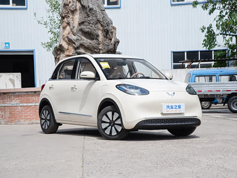 2025�� 333km ������