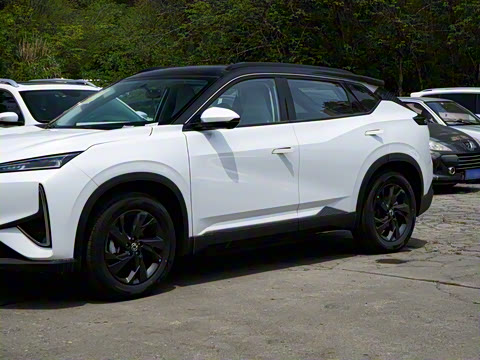 2025�� 518������