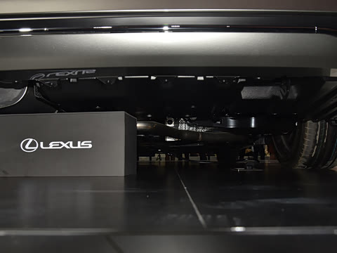 2025�� 300h ������