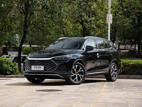 2025�� DM-i 115KM ������