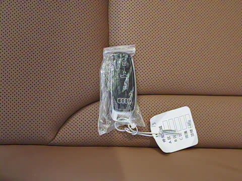 2025�� 45 TFSI quattro S line�˶���