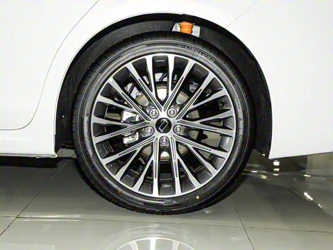 2024�� ���Ĵ� 2.0T �캽��