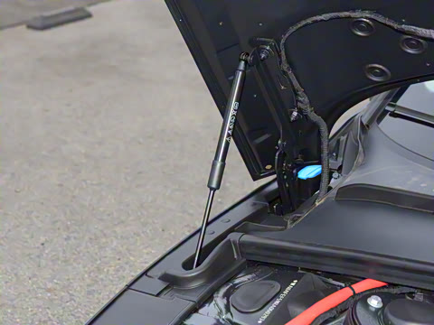 2024�� Sportback 40 TFSI quattro ����������