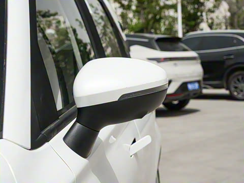 2025�� 305km ������