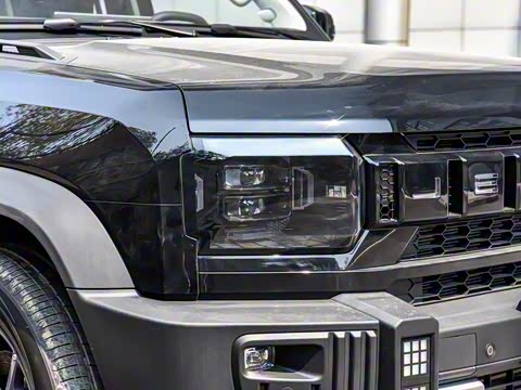 2025�� 2.0TD DCT XWD��Խ