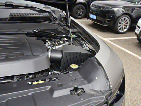 2025�� 110 3.0T P400 X