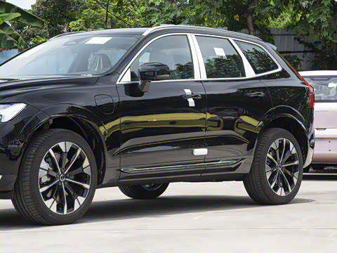 2026�� ���ʽ�춯 ������������Զ������