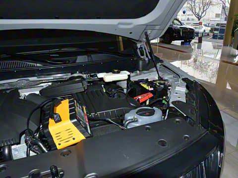 2024�� 2.0T PHEV �����쳩�� 6��