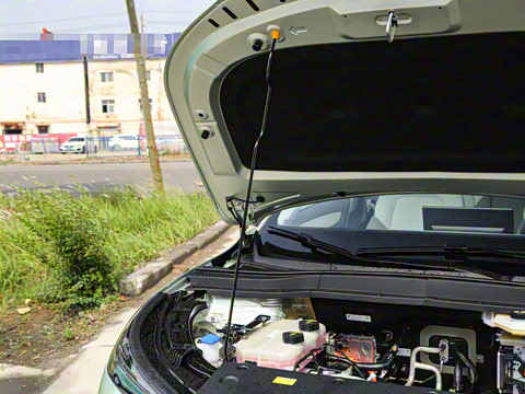 2025�� 445km ���ð�