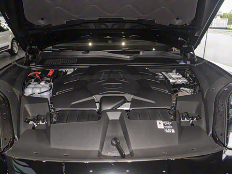 2025�� Cayenne 3.0T ���ΰ�