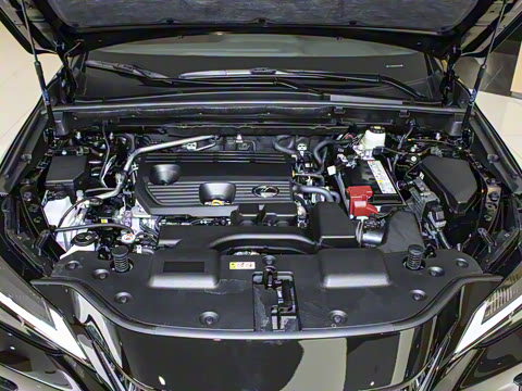 2024�� 260 ǰ�� ���ð�