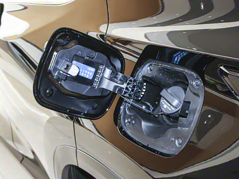 2024�� 260 ǰ�� ���ð�