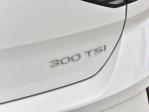 2025�� �Ŀ� 300TSI DSG�����ǹ��