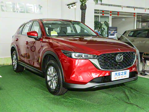 2024�� 2.0L �Զ���������Pro